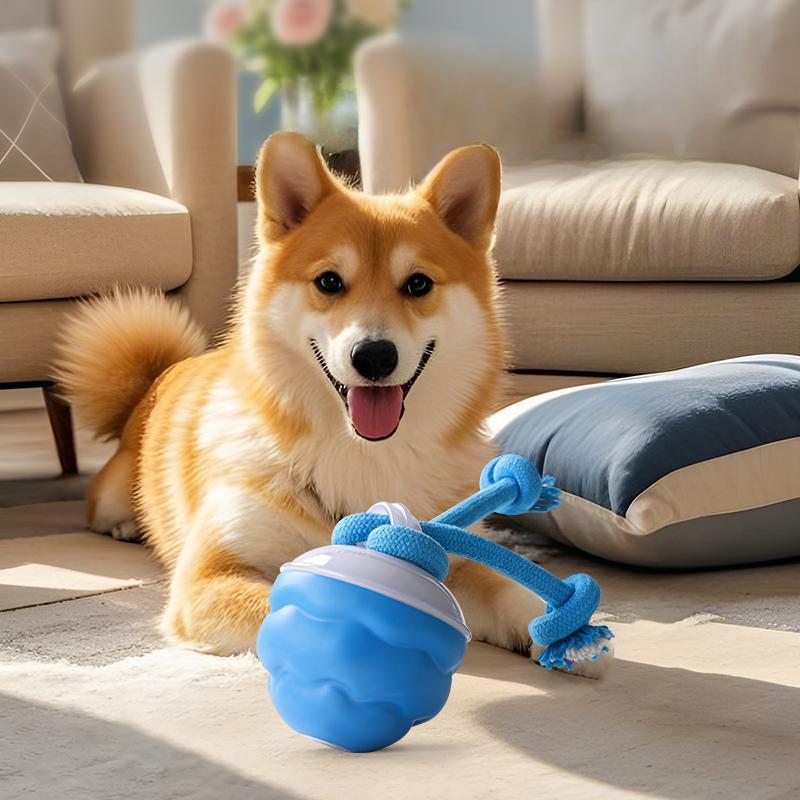 Product Introduction of USB Rechargeable Automatic Rolling Ball, Interactive Smart Dog Teaser Toy, Pet Chasing Toy, Dog & Cat Accessories, Pet Supplies 0