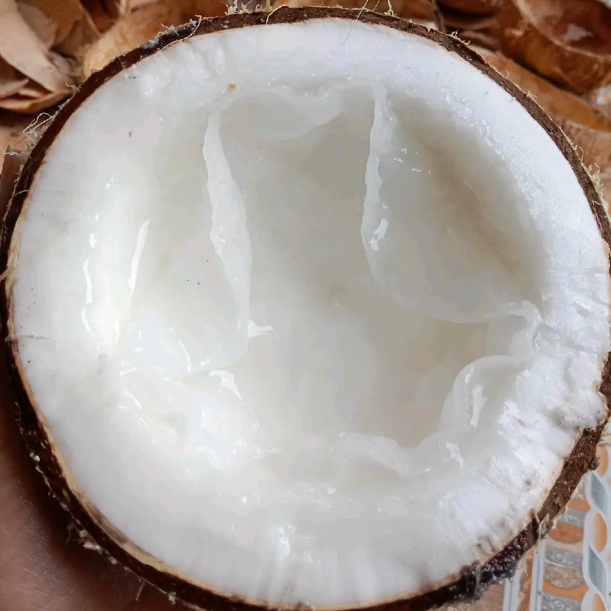 Dừa Sáp Lỏng trung - Dừa Sáp Loại 3, loại có nhiều nước, có trọng lượng 1-1.3kg
