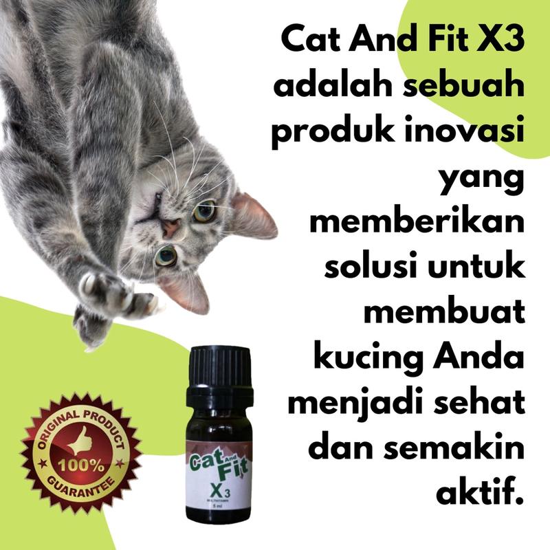 Cat And Fit X3 Multivitamin kucing gemuk bulu lebat cocok untuk vitamin kitten 3