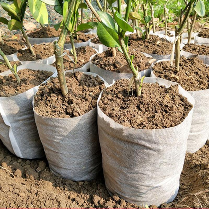 Product Introduction of 100pcs Biodegradable Non-woven Nursery Bags Fabric Eco-Friendly Planting 7