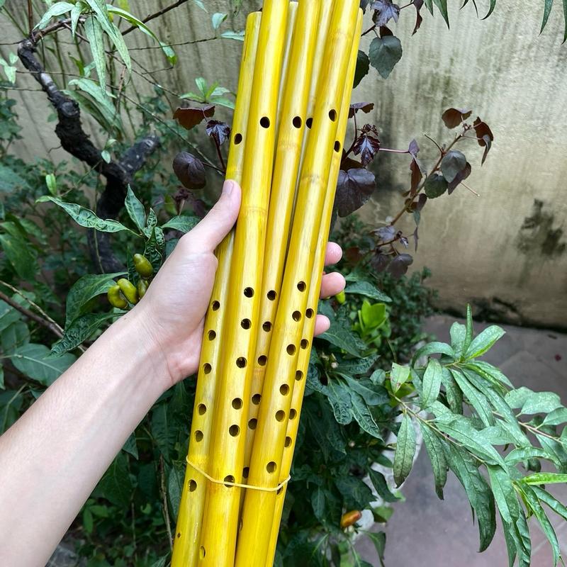 Sáo trúc ngang ( dễ thổi cho mọi lứa tuổi ), sáo trúc nghệ thuật, sáo trúc việt nam , sáo trúc tre, dể thổi 6