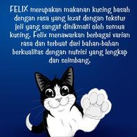 Gambar FELIX Adult Tuna Makanan Kucing Basah 85gr - FELIX, Standar dari Purina Indonesia Kota Administrasi Jakarta Barat 2 Tokopedia