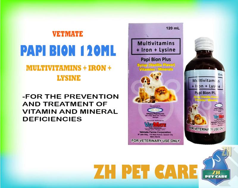 PAPI BION PLUS (Multivitamins + Iron + Lysine) 120mL - TikTok Shop ...
