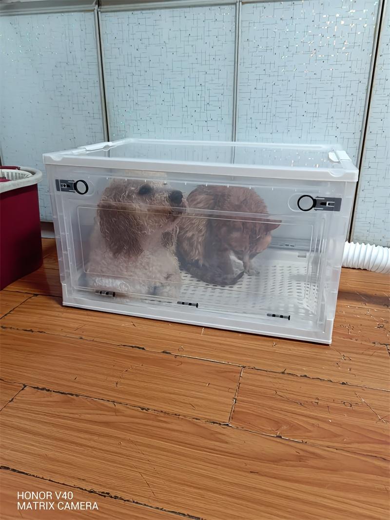 Product Introduction of Pet drying box, cat noise, ultra quiet, transparent wheels, household use, dog and cat bathing, hair blowing, dog hair dryer, connected to pet water, hair dryer 2