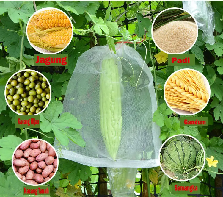Kantong Jaring Pembungkus Buah/Fruit Cover Dari Hama Serangga