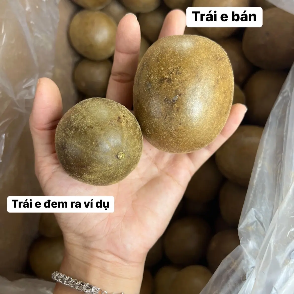 La Hán Quả sấy khô. Trái to đẹp. Nguyên liệu chuẩn nấu sâm lạnh ngọt thanh Trà Nước Trà Chua