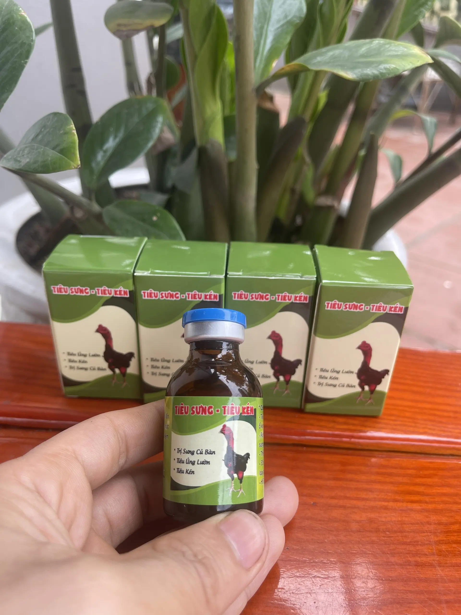 Tiêu sưng tiêu kén cho gà chọi