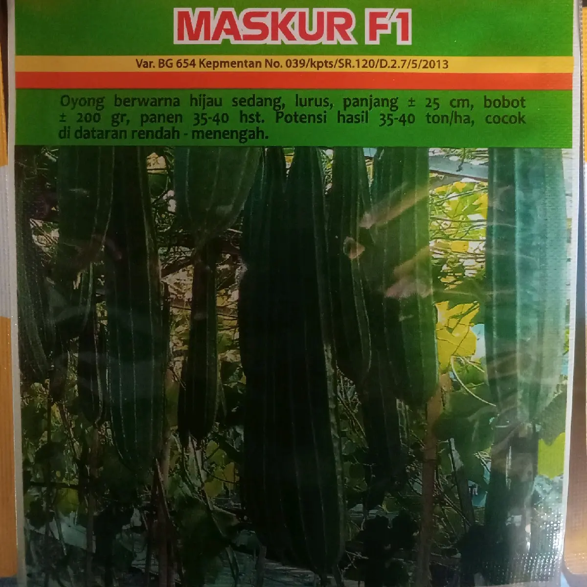 BENIH OYONG MASKUR
