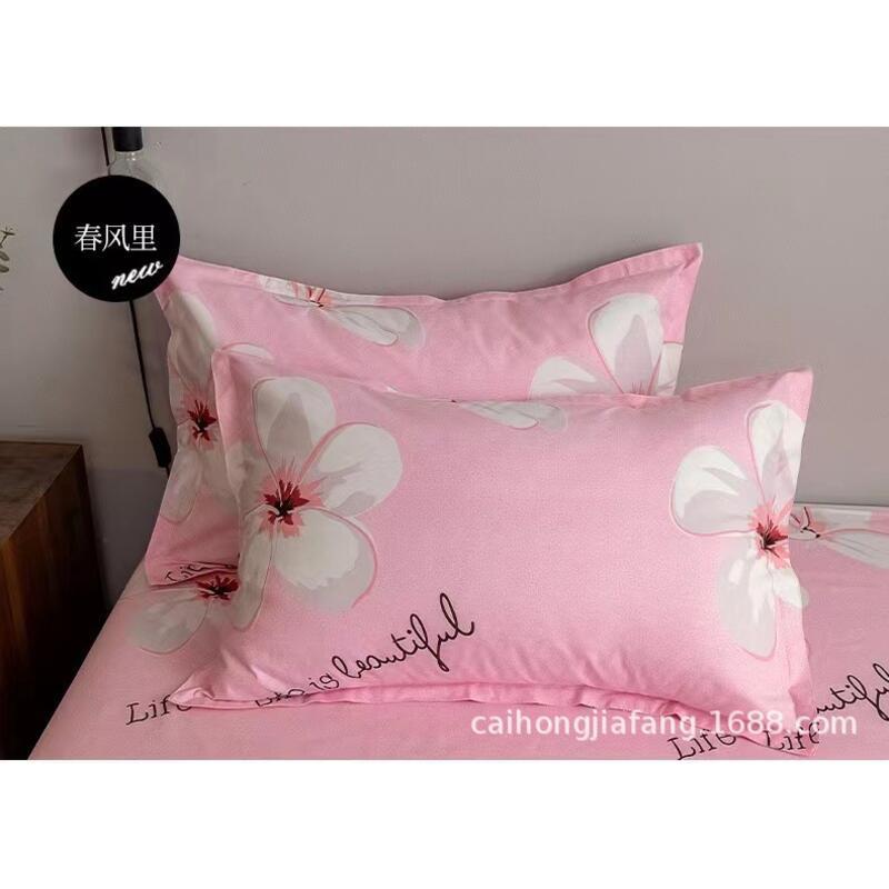 Product Introduction of Pillowcase Pair 48X74 Pillowcase, Brushed Three Piece Set, Children's Bed Four Piece Set, Bedding Sheet 18