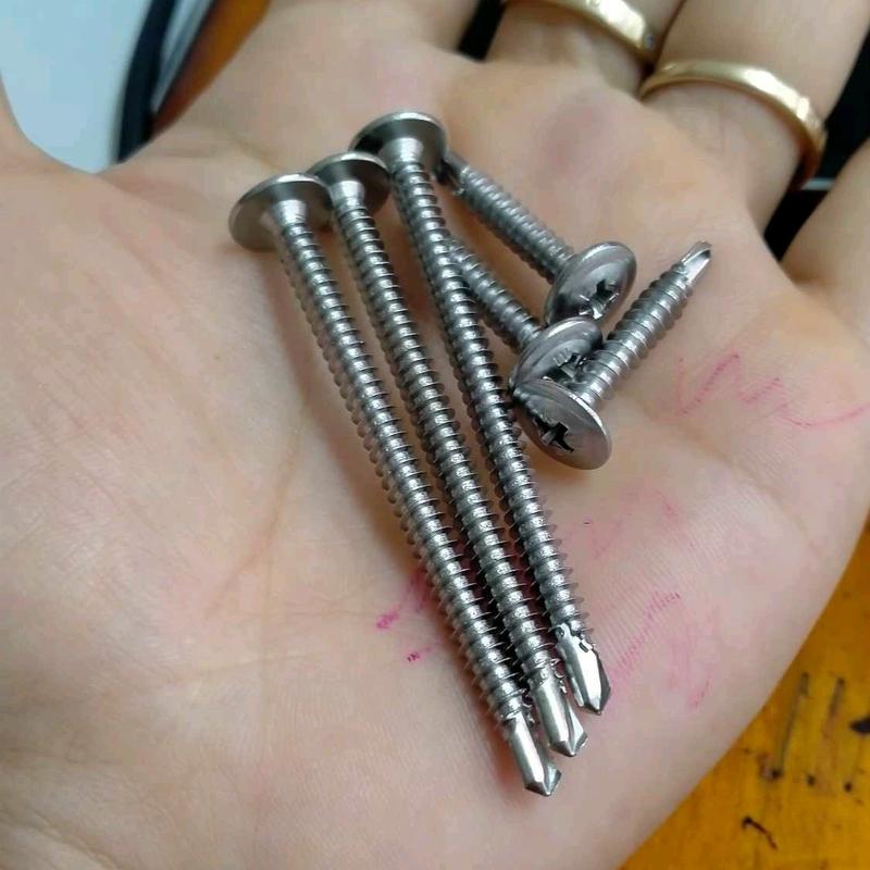 Vít Dù INOX 1
