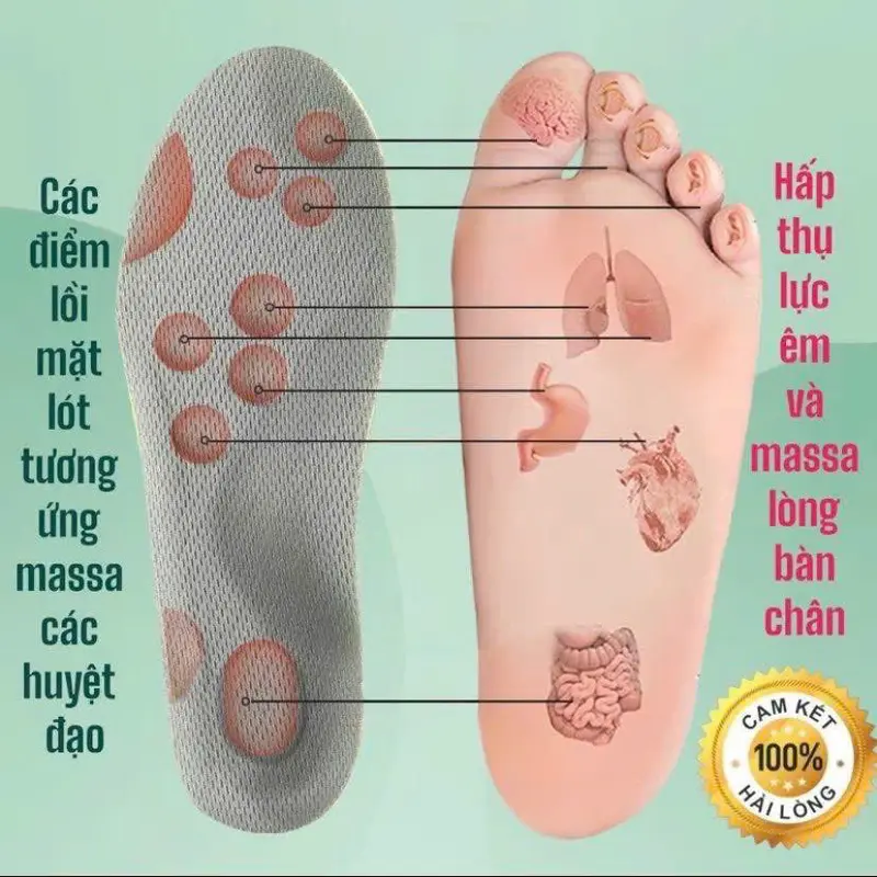 Lót Giày MIZUNO Đế Xốp Cực Êm, Hạn Chế Hôi Chân, Hàng Chính Hãng, Chất Lượng Cao 1