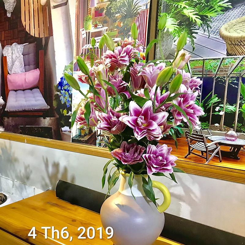 Bột Cắm Hoa Tươi Lâu Tàn Hiệu Longlife Nhập Khẩu Isarel (Bộ 30 gói) giúp hoa tươi lâu gấp 2 lần và 14 ngày không thay nước mới. 4