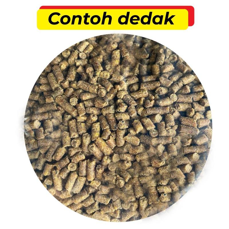 Product Introduction of [15KG] [415P] [REPACK] DEDAK ITIK PENELUR | MAKANAN ITIK TELUR GOLD COIN | DUCK LAYER FEED | PREMIUM DUCK FOOD | VIRAL 3