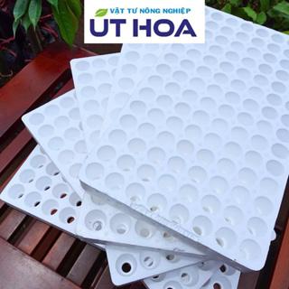  ￼5 cái khay xốp vỉ xốp ươm hạt giống hàng công ty dày dặn 