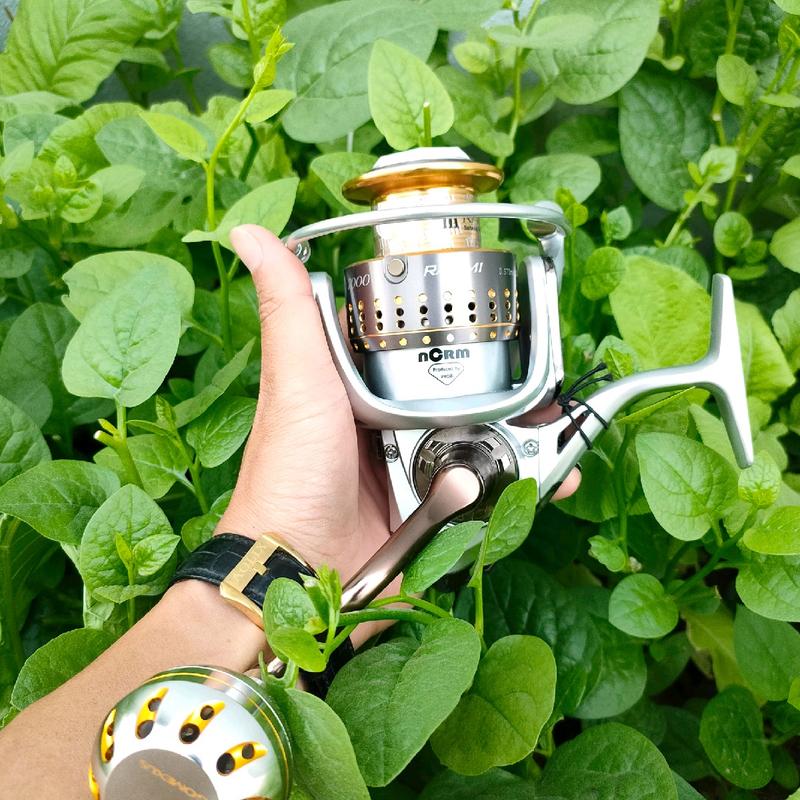 Máy câu cá RANMI Plus độ núm GOMEXUS