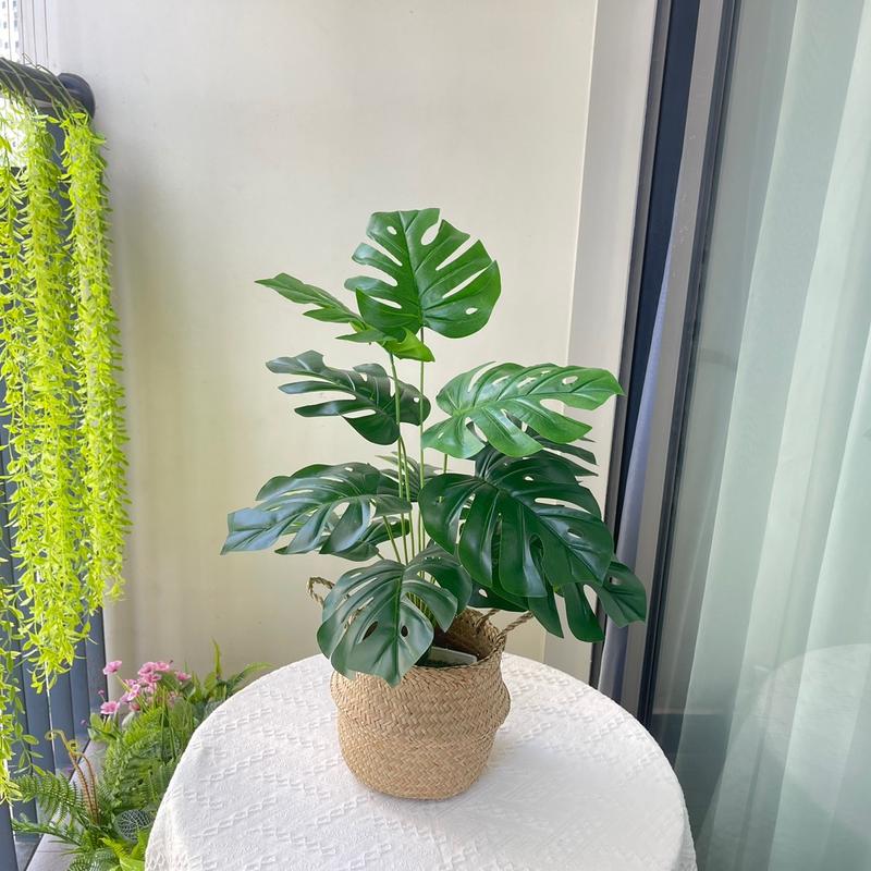 Cây lá rùa 60cm, 12 lá- cây nhựa trang trí Decor