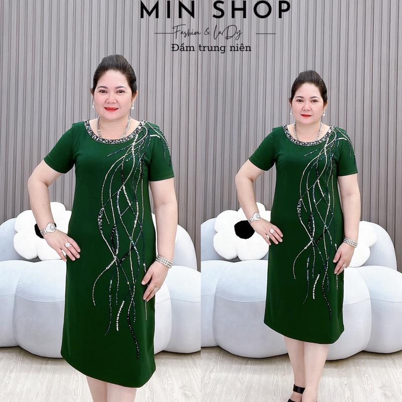 Đầm trung niên suôn sóng nước tay ngắn cao cấp đơn giản Nữ Women Dress Voan Voi Sen Màu Nâu Dài Tay