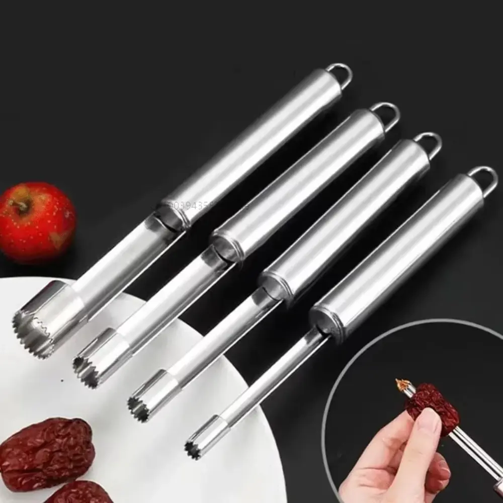 Gifts Stainless Steel Fruit Seed Remover Tool Portable Multi-function Remover Seed Slicer Removable Core Hawthorn Red Date Apple and Cherry Longan