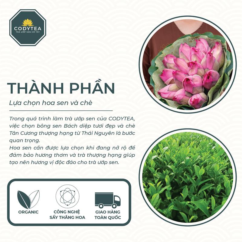 Trà ướp sen Hồ Tây - Đại Thọ (Bông) Cody Tea traxanh 7