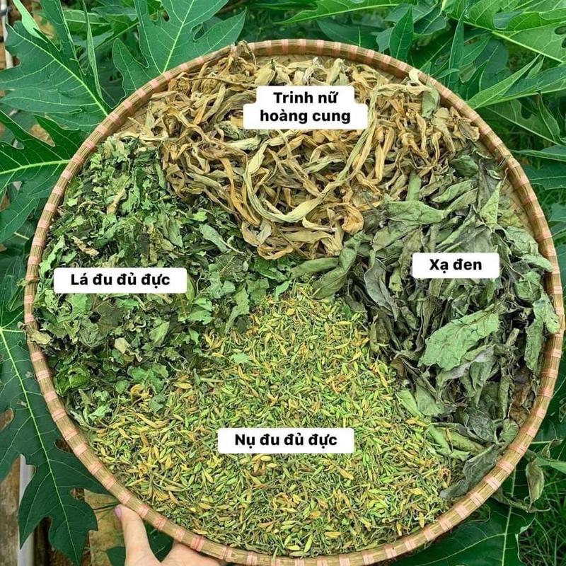 Trà túi lọc đu đủ đực - trinh nữ hoàng cung - xạ đen dạng hộp 60 túi lọc 4