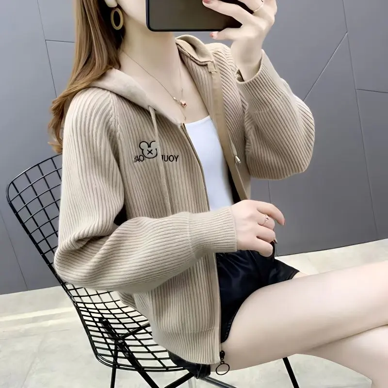 Áo Cardigan Dệt Kim Có Mũ Trùm Đầu, Dành Cho Quần Áo Mùa Thu Của Phụ Nữ, Áo Len Có Khóa Kéo, Áo Khoác Ngắn, Bộ Sưu Tập Mùa Xuân Và Mùa Thu Mới 2024, Dễ Phối Đồ, Áo Thời Trang