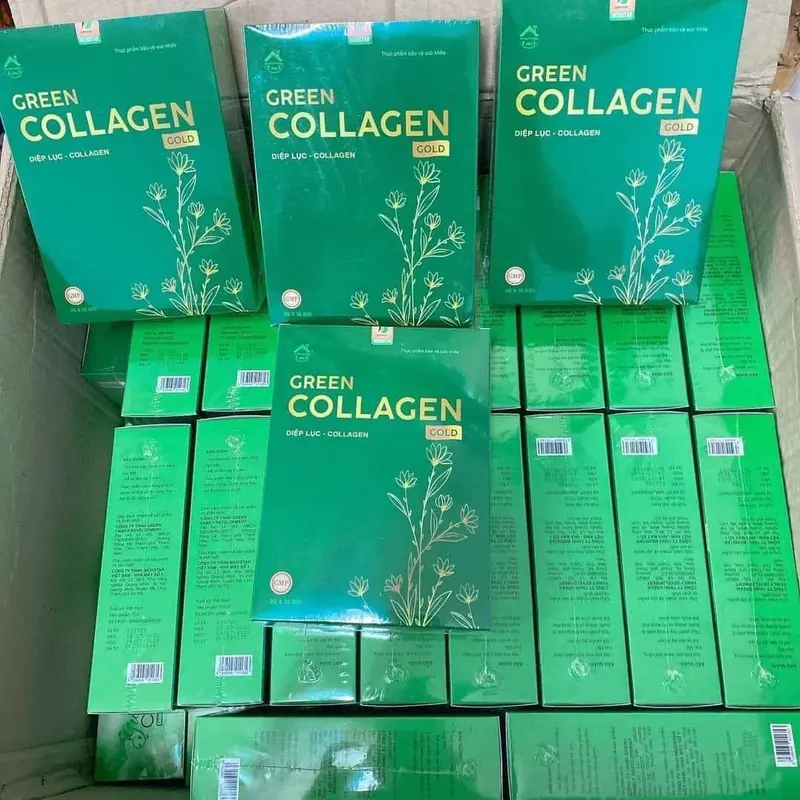 Bột Diệp Lục Collagen Gold Green Family - hộp 30 gói - thực phẩm chăm sóc sắc đẹp 2