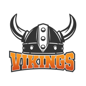 NÓN VIKING