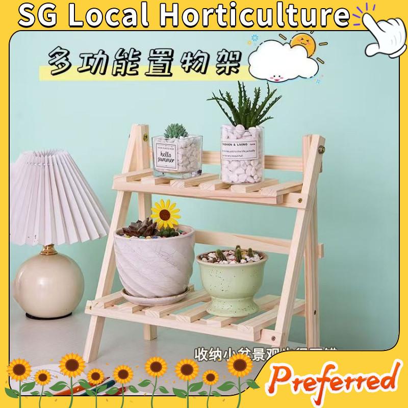 【SG Local Horticulture】Multi layer succulent plant flower rack ...