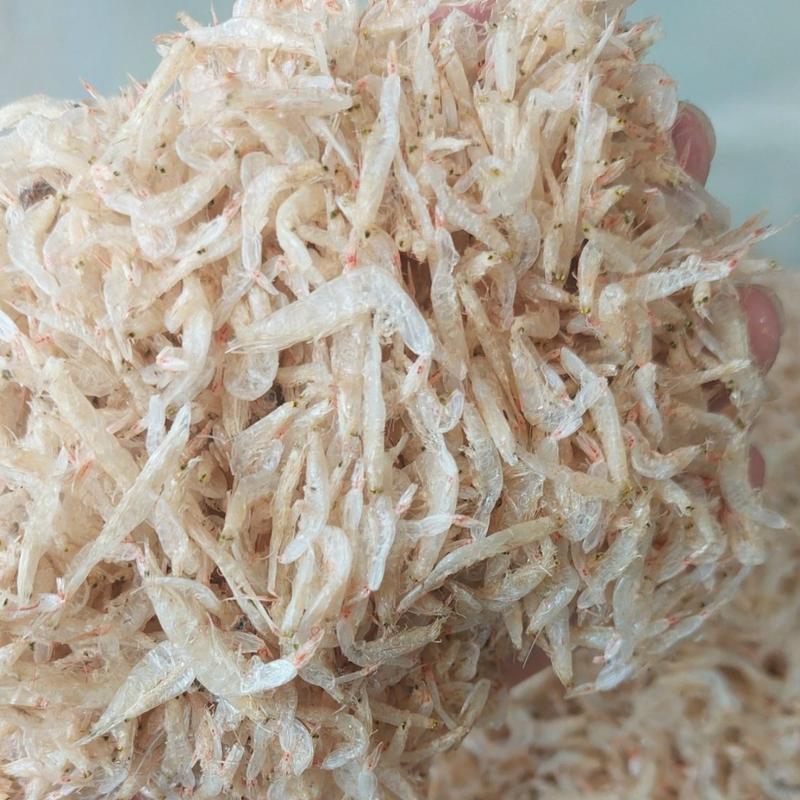 Ruốc khô nhỏ (tép biển/ moi)  hàng sạch không sạn cát , dùng chiên,rim,xào, nấu, trộn gỏi,  làm muối tôm, bánh tráng trộn, bánh tráng nướng, xào bắp, xào cơm...(mua 1kg tặng cá khô )