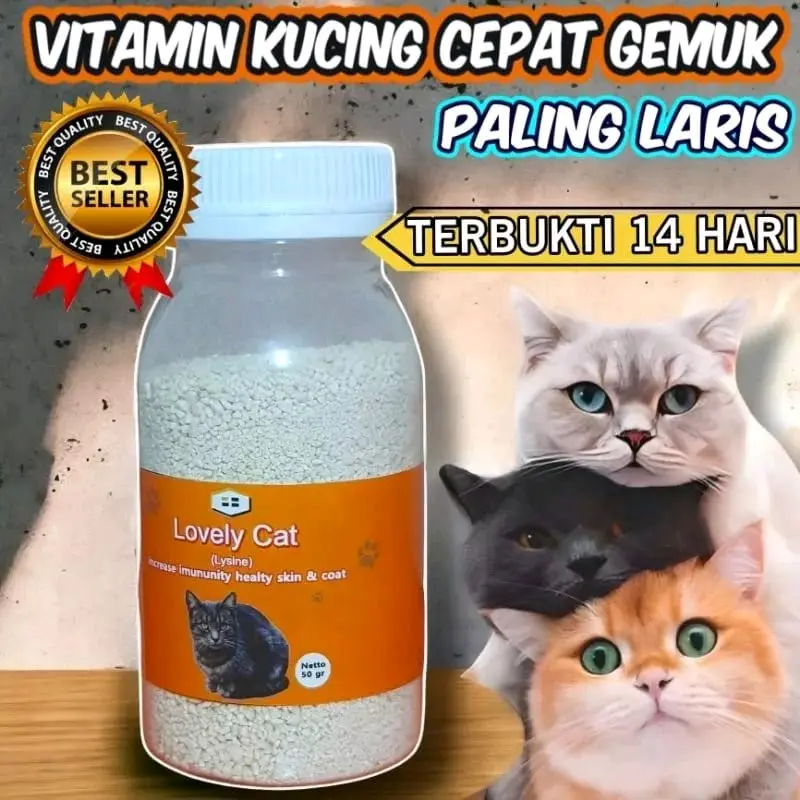 VITAMIN CEPAT GEMUK KUCING & BULU LEBAT