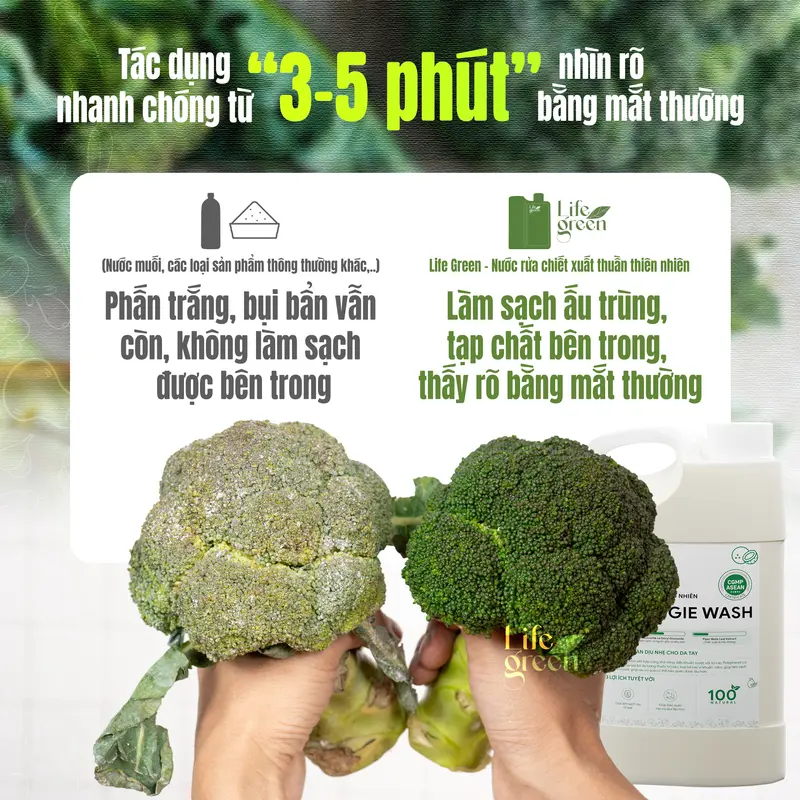 Combo Nước Ngâm Rửa Rau Củ Và Nước Rửa Chén Sinh Học LifeGreen Cho Gia Đình - Làm Sạch 4