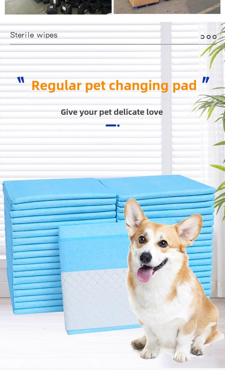 Product Introduction of Disposable Pet Pee Pads, Absorbent and Odor-Control Dog Pads, Thickened and Durable, Suitable for Home and Travel Use, Available in Multiple Sizes 2