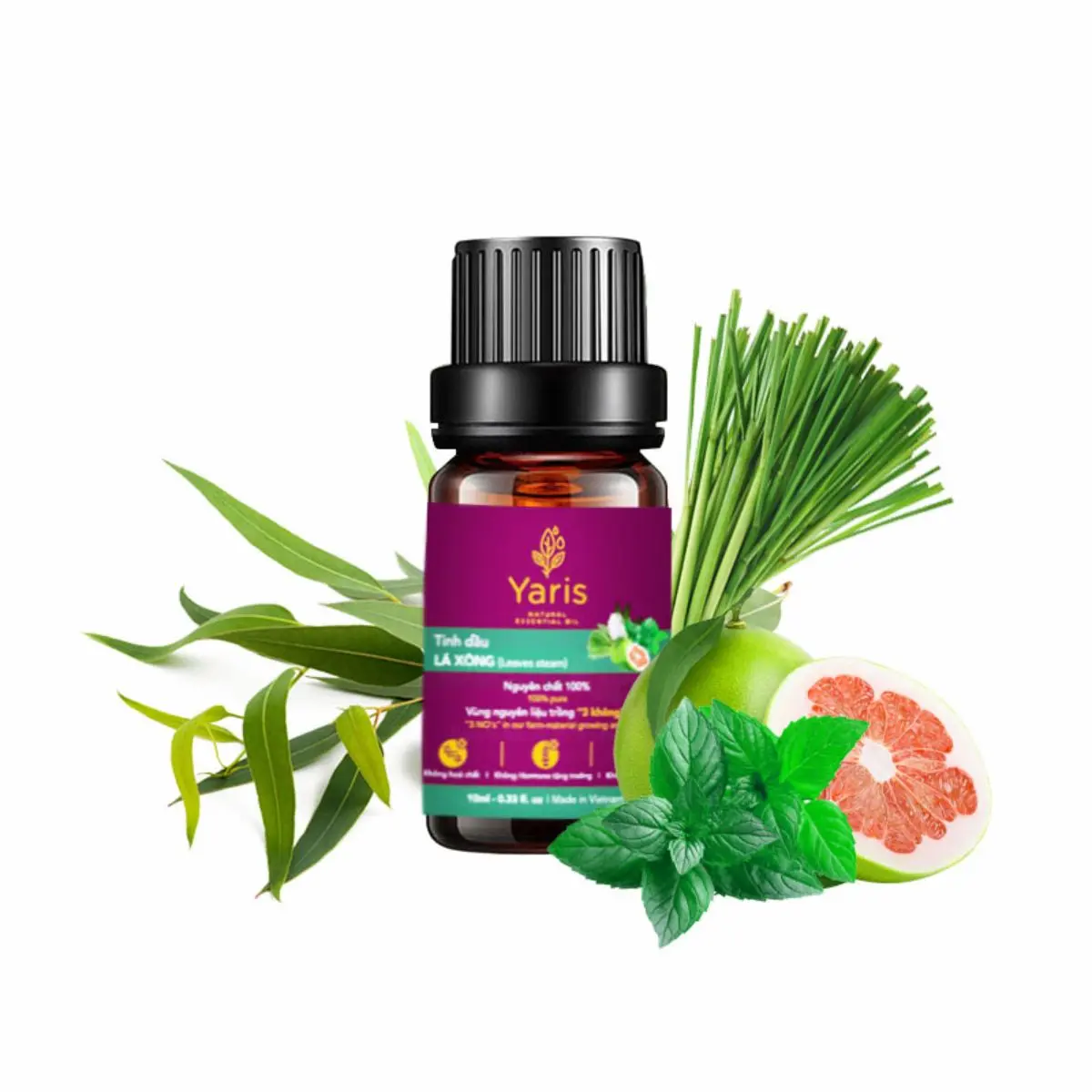 Tinh Dầu Lá Xông Trị Cảm - Giải Pháp Hiệu Quả Cho Cảm Lạnh tinh dau tinh dau tinh  dầu tinh  dầu tinh  dầu tinh  dau tinh dau tinh  dau