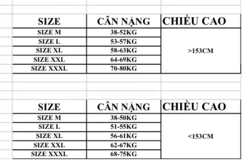 Product Introduction of Áo sơ mi kiểu vải lụa Hàn sang trọng , mát, nhẹ . 0