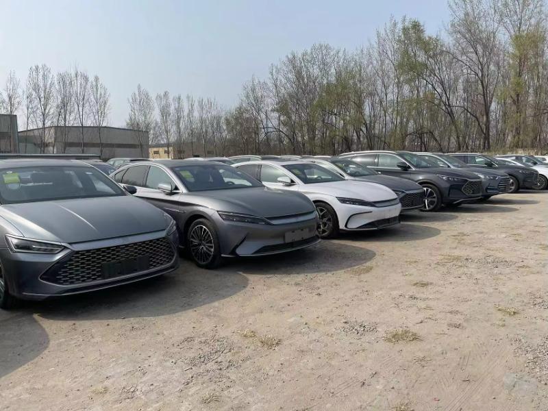 Product Introduction of Thương hiệu BYD, Cá heo, 2023, 5 cửa và 5 ghế, EV bán chạy, Chất lượng tốt nhất, Giá tốt nhất 53