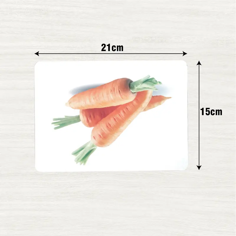 Bộ thẻ flash card học thế giới xung quanh , khổ A5 - 100 thẻ 8