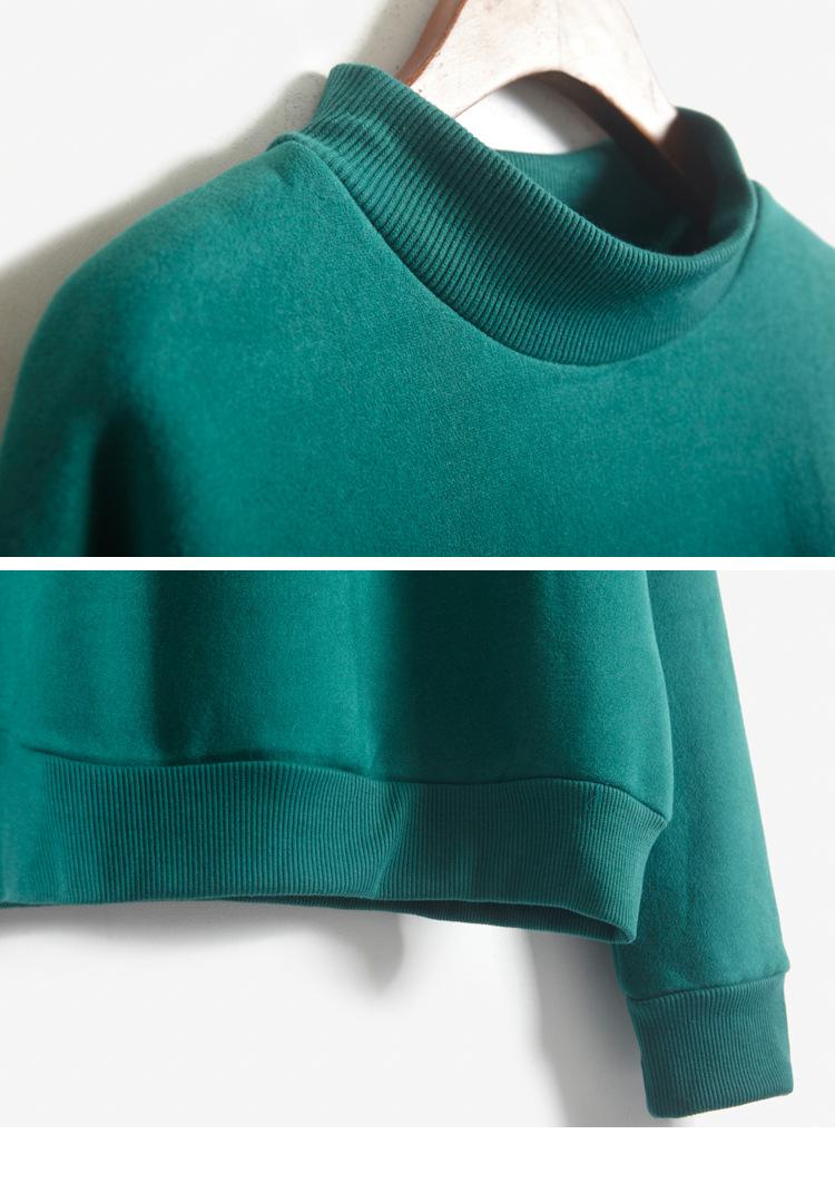 Product Introduction of Korean solid color fleece hoodie women's autumn and winter new baseball jacket student coat small high neck loose thick hoodie 41