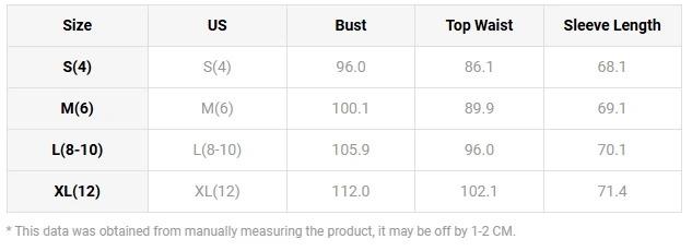 Product Introduction of Women's Blouse Tops Elegant Daily Solid Color V-Neck Rhinestone Decoration Sheer Mesh Splicing Lantern Long Sleeve Shirt Top 9