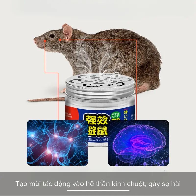 Sáp Đuổi Chuột, Hộp Đuổi Chuột Ô Tô, Chiết Xuất Thực Vật Long Não, Tinh Dầu Ớt, Bạc Hà 2