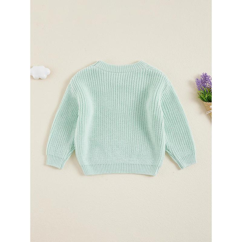 Product Introduction of Little Boy Girl Knit Sweater Solid Color Crew Neck Long Sleeve Pullover Tops for Fall Winter Causal Sweater 43
