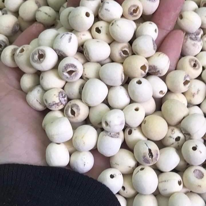 Túi 800g hạt sen khô nam đàn nghệ an