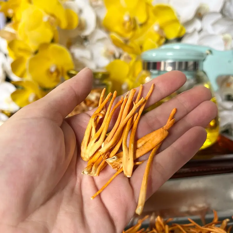 10gr Nấm Trùng Thảo sấy thăng hoa tăng cường sức khỏe , cải thiện giấc ngủ ,  Nước Trà Chè TeaChua Sen 3