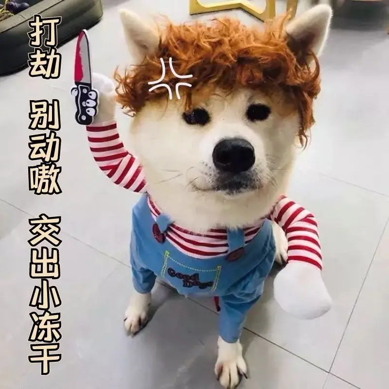 Quần Áo Cầm Dao Vui Nhộn Lễ Hội Chúa Thánh Thần Cho Thú Cưng, TikTok Bichon, Golden Retriever, Chó Mèo, Pomeranian, Shiba Inu, Corgi, Teddy, Với Giá Đỡ Dao, 20,25Món 1