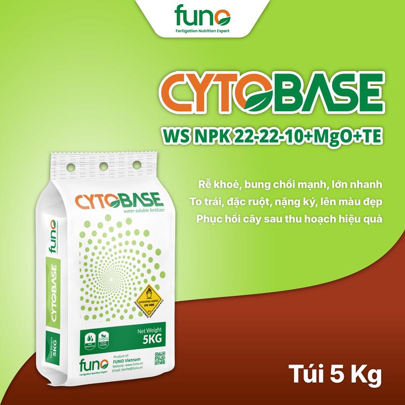 CYTOBASE NPK 22-22-10+MgO+TE - Túi 5kg- Hòa Tan Nhanh, Hấp Thụ Ngay, Bung Chồi, Tạo Tán, Lá To, Xanh Lá, Dày Lá, Mập Thân