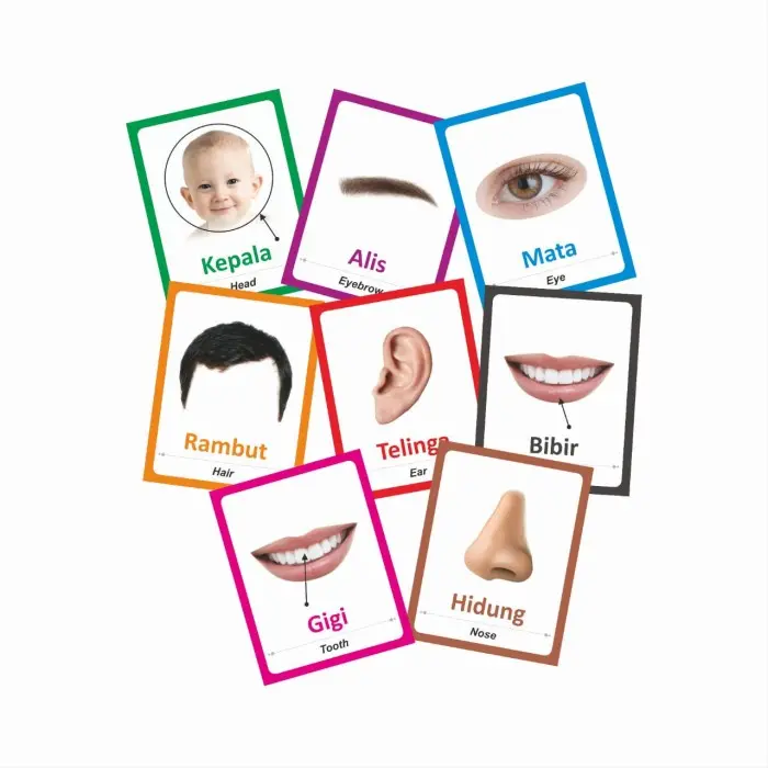 Murah!! FlashCard Bagian Tubuh - Kartu Belajar - Ap230 0
