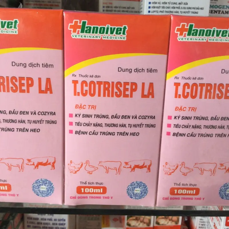 Sulfamono 10g, 100g kí sinh trùng máu, đầu đen, dạng bột cho gà, vịt, chim, cút 3