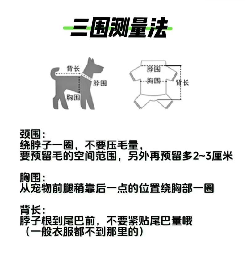 Product Introduction of 2025 Customized in Stock Pet Products Pet Dog Swimsuit Life Jacket Pet Reflective Swimsuit Dog Swimsuit 0