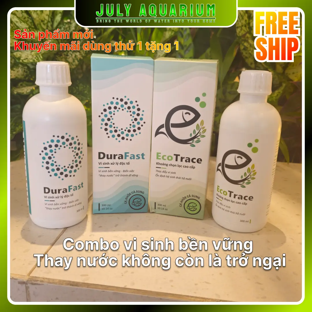 [MUA 1 TẶNG 1] Combo Vi sinh Dura Fast và Khoáng Eco Trace  (300ml) kích hoạt vi sinh nhanh chóng, xử lí độc tố cho hồ cá, giúp nuôi cá nhàn hơn, ít thay nước hơn.
