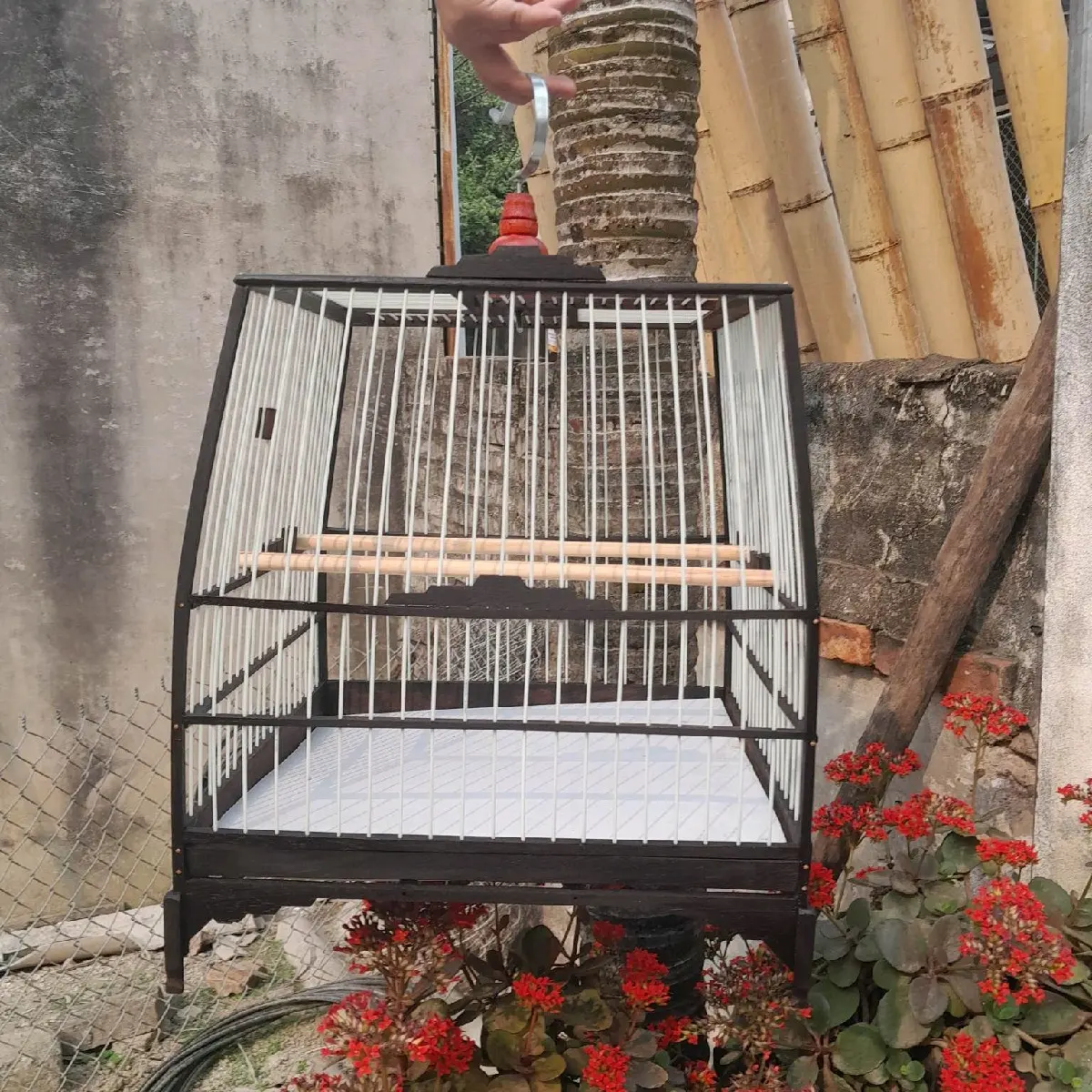 khung lồng Chào mào  gỗ mun nan cáp quang