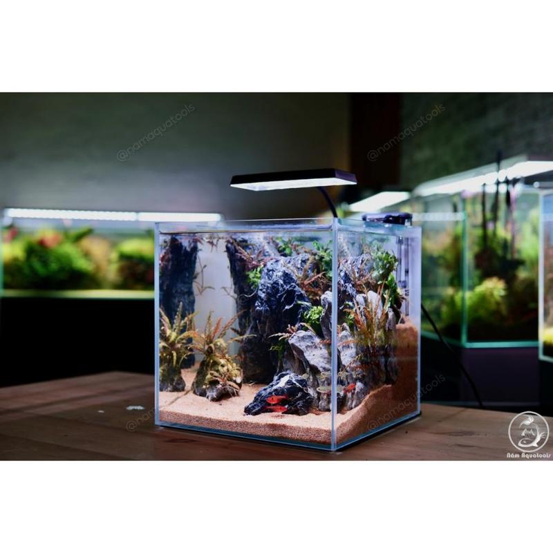 Neo-Helios FLAT S3 PLUS NANO | Đèn Led Kẹp Mini RGB 3 in 1 - Đánh Màu Cây và Cá Cực Đẹp 5